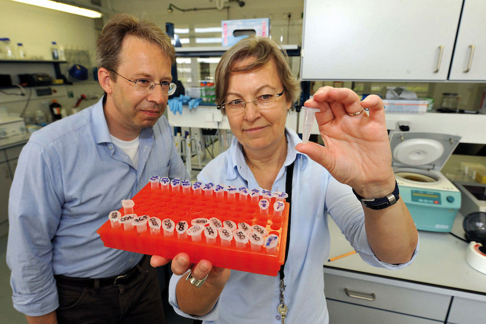 Prof. Dr. Sven-Erik Behrens und Prof. Dr. Karin Breunig untersuchen den Biomasse-Anteil einer Hefe-Kultur