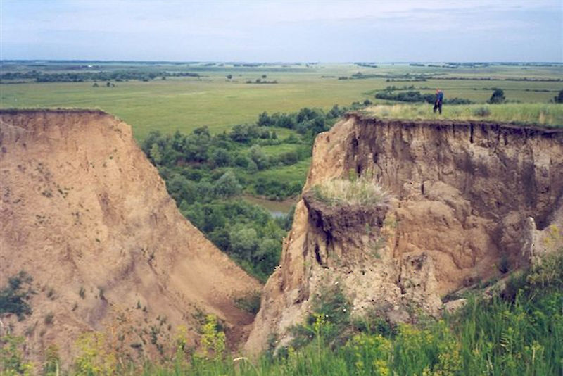 Durch unangepasste Landnutzung sind in den Agrarsteppen Südsibiriens tiefe Erosionsrinnen - sogenannte Schluchten-Gullys - entstanden.