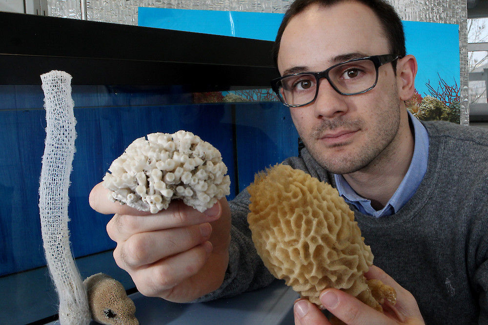 Dr. Filipe Natalio studies how sea sponges systematically create their perfect structures (photo: Maike Glöckner)