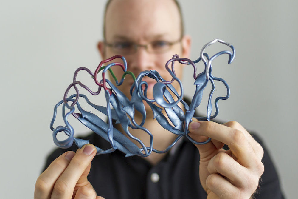 Dominik Schneider has “his” protein printed at 200 million times its original size (photo: Melanie Zimmermann)