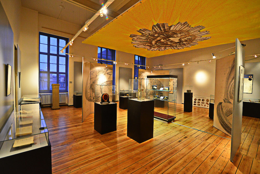 Reil-Ausstellung zeigt Präparate aus den Meckelschen Sammlungen. 
