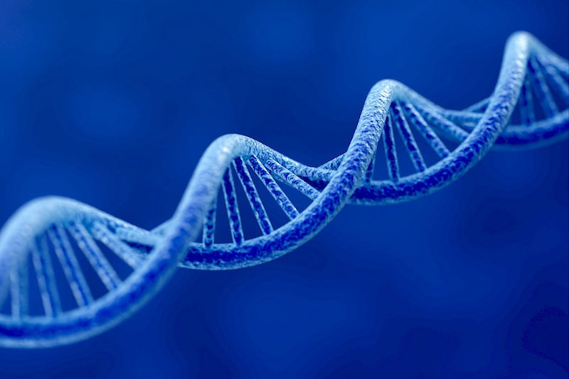 Das Erbgut, die DNA, lässt sich mit Gen-Scheren gezielt verändern.