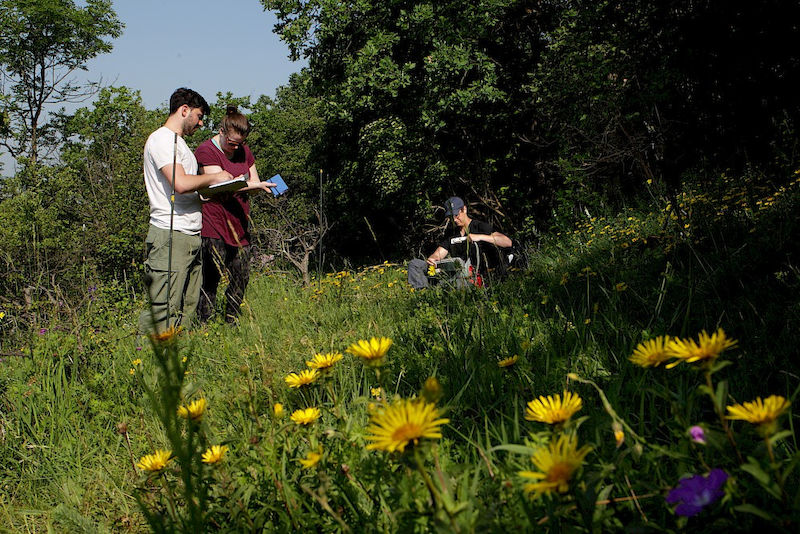 The students conducting their fieldwork near Balgstädt.