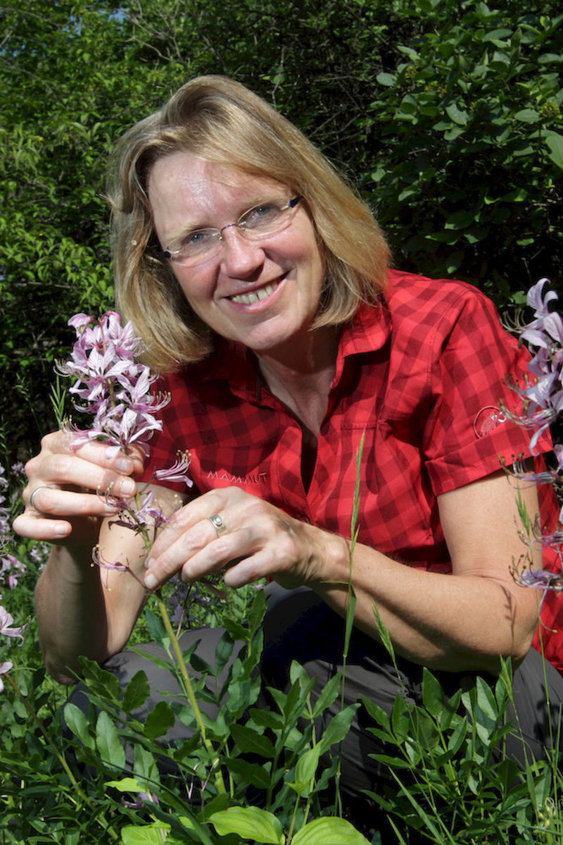 Isabell Hensen mit Diptam-Pflanzen