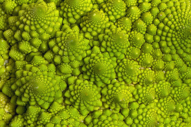 Ein mathematisch und fotografisch interessantes Gemüse: Der Romanesco-Kohl hat fraktale Formen.