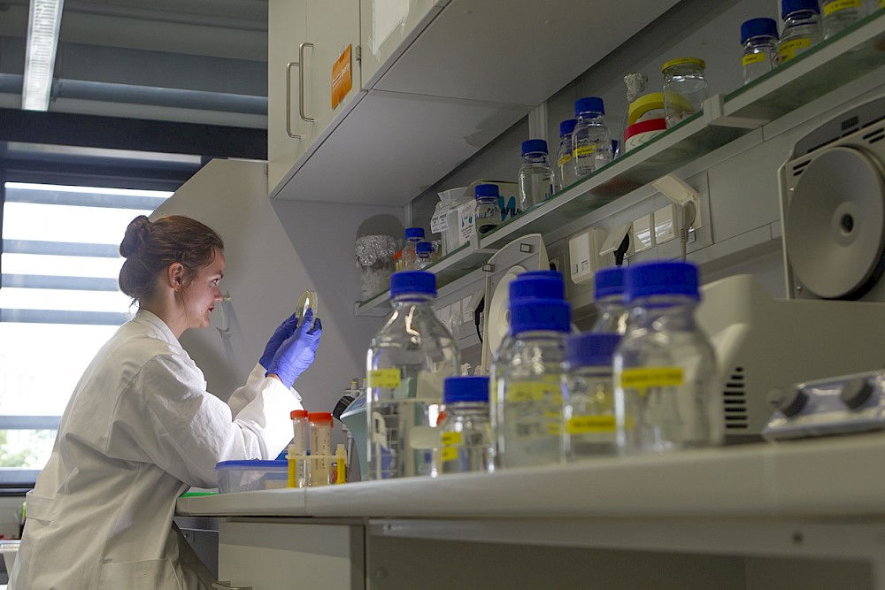 Im Labor im Proteinzentrum der Uni findet weiter Grundlagenforschung statt - hier Benita Schmitz.