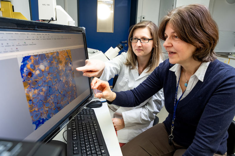 Researcher Gabriele Stangl (right) analysing data with Heike Giese