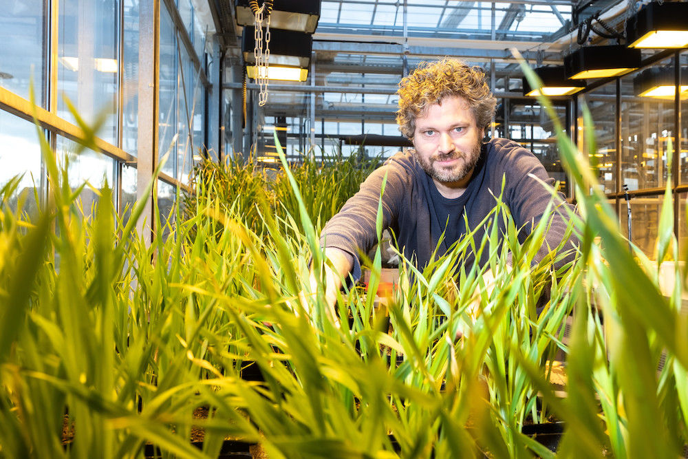 Marcel Quint - hier im Gewächshaus - ist an der Studie zur Evolution der Pflanzen beteiligt.