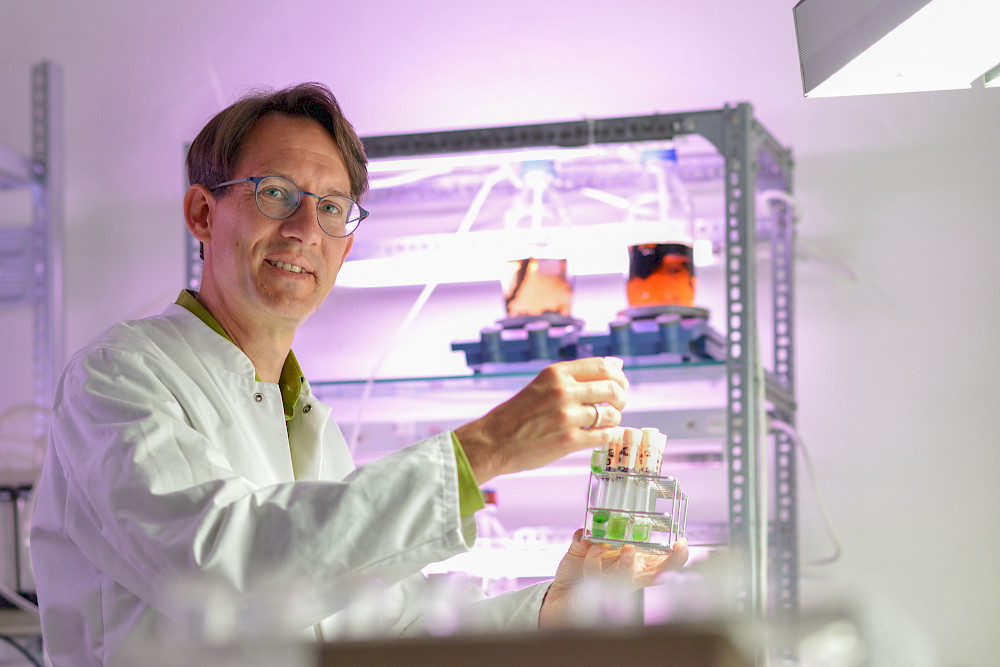 Timo Niedermeyer with cyanobacteria that are being prepared for cultivation