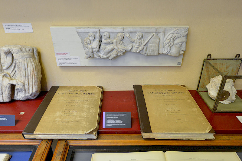 Zu sehen sind in der Ausstellung Fragmente von Sarkophagen sowie vier von Carl Robert herausgegebene Bände des Corpus der antiken Sarkophagreliefs.