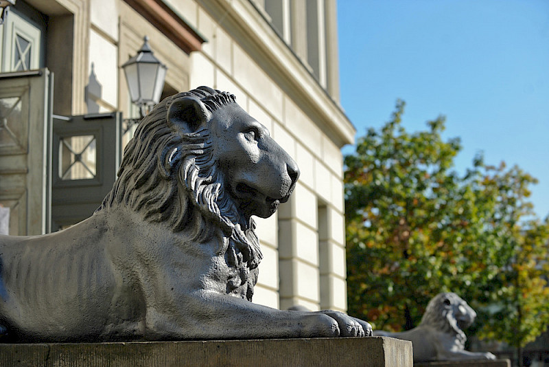 Die Uni-Löwen sind die Symbolfiguren für die MLU.