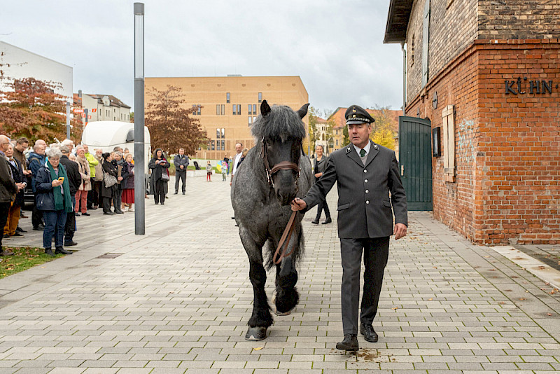 Ungewohnter Anblick mitten auf dem Campus: Gestütsoberwärter René Gebhardt führt Nussbaum zum Fotoshooting.