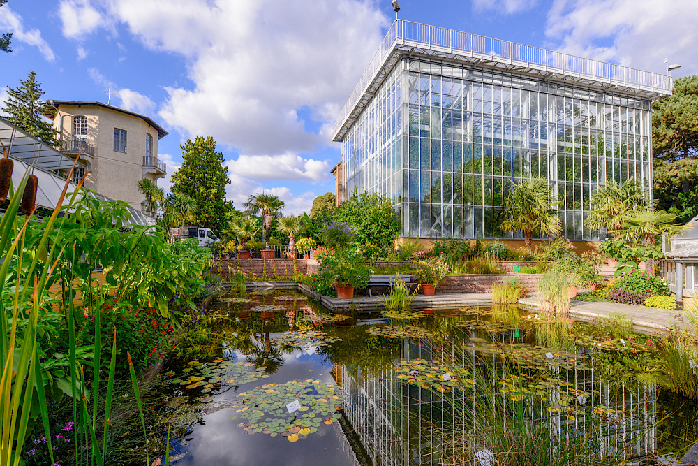 Blick auf das Große Tropenhaus im Botanischen Garten